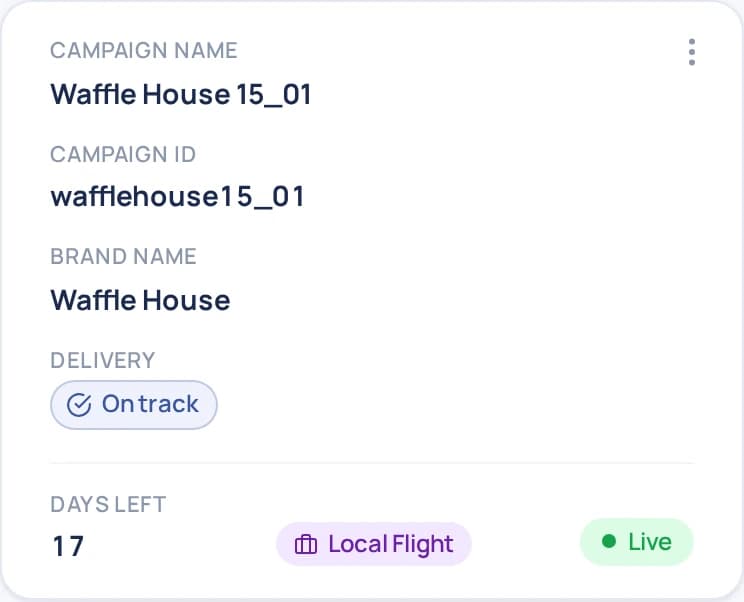 A single campaign card in the production app — labeled fields, delivery status chip, and Live badge